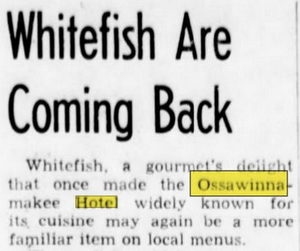 Hotel Ossawinamkee - Apr 17 1961 Article